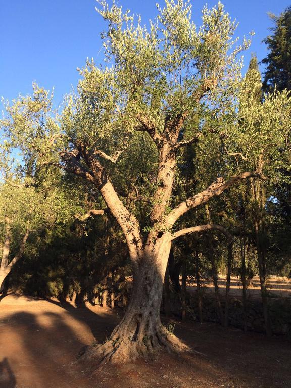 Appartamento Casa Christina Galatone Esterno foto